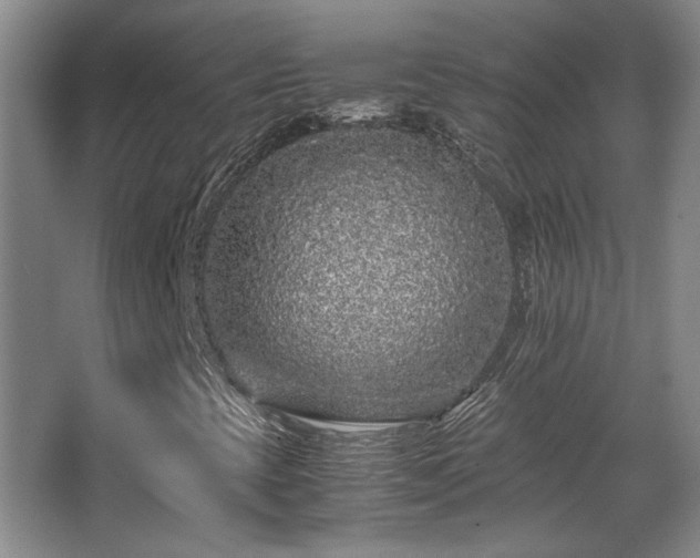 X0000063441393200601231313