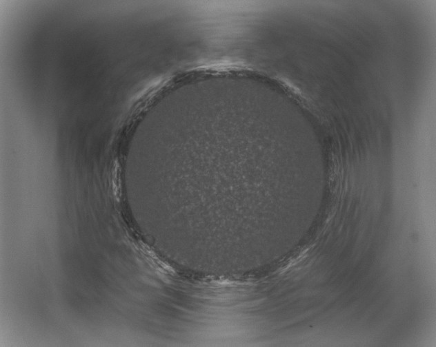 X0000063441398200601231313