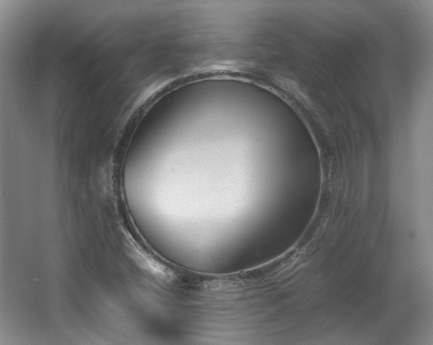 X0000063441404200601231313