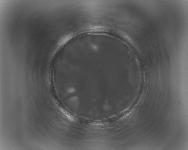 X0000063441405200601231313