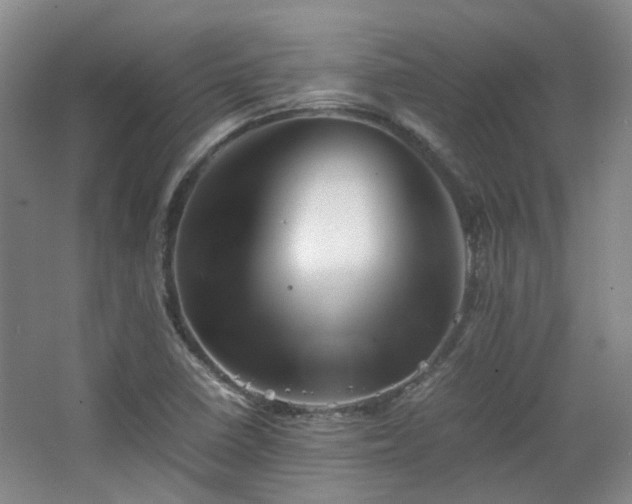 X0000063441410200601231314