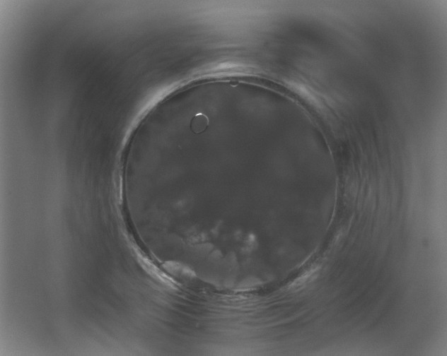 X0000063441413200601231314