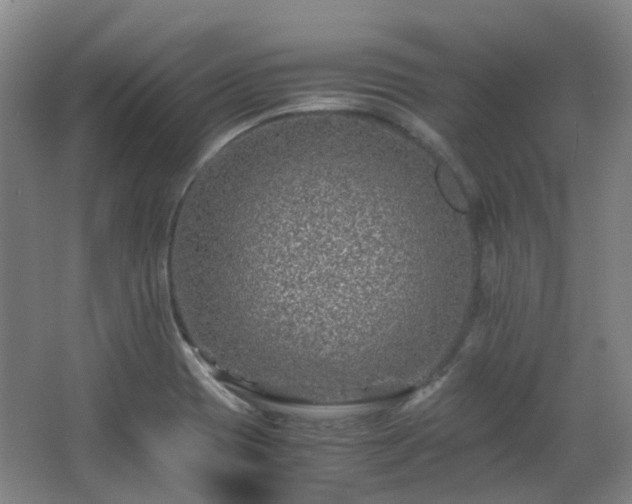 X0000063441417200601231314