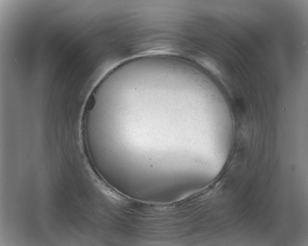 X0000063441423200601231314