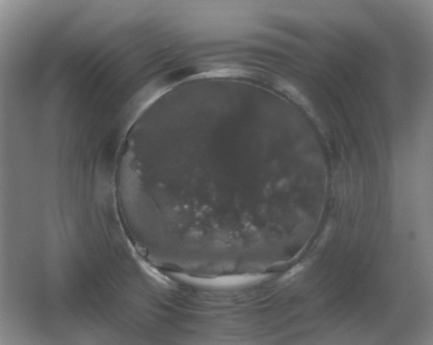 X0000063441425200601231314