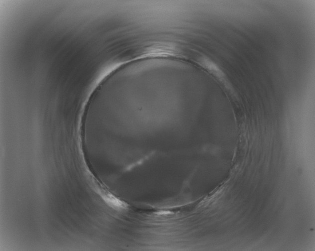 X0000063441427200601231314