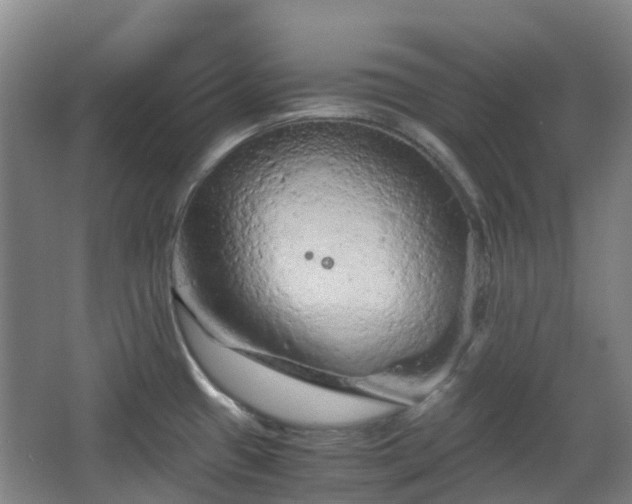 X0000063441433200601231314