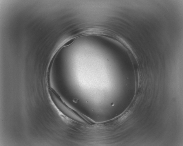X0000063441434200601231314