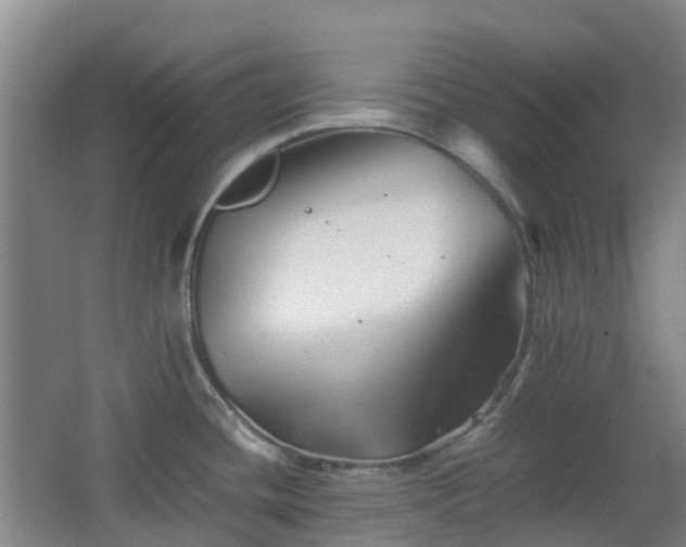 X0000063441436200601231314