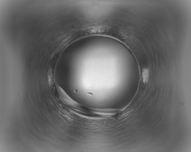 X0000063441444200601231313