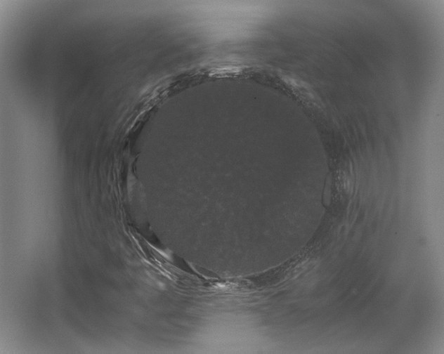 X0000063441445200601231313