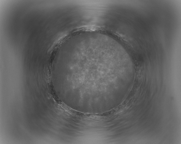 X0000063441446200601231313