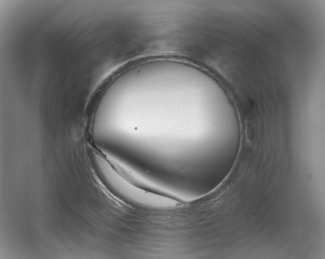 X0000063441452200601231313
