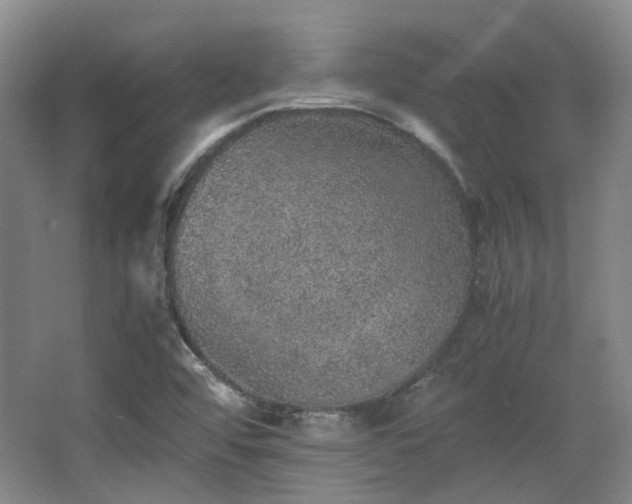 X0000063441456200601231313