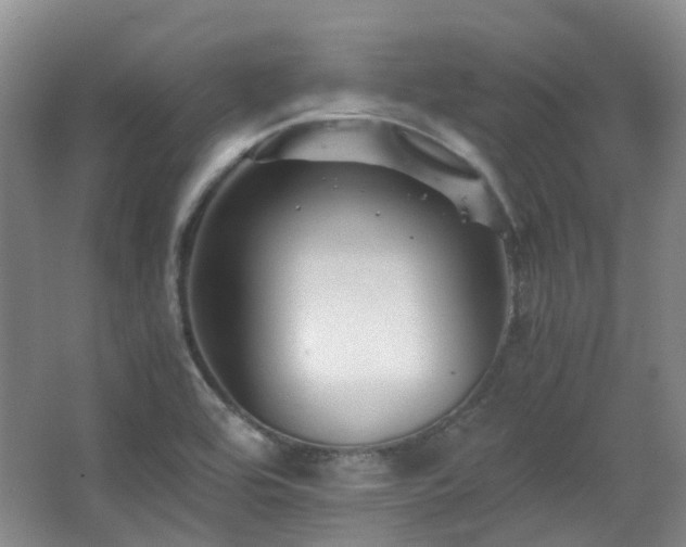 X0000063441464200601231313