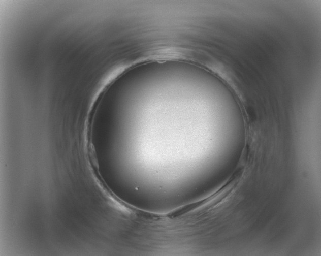X0000063441477200601231313