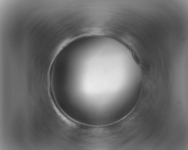 X0000063441479200601231313