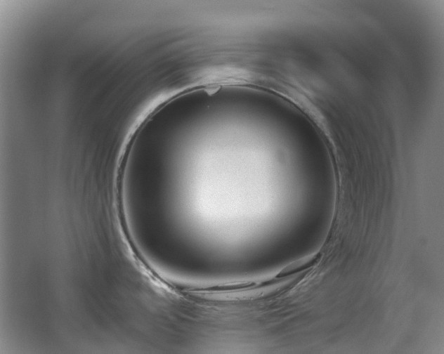 X0000063441488200601231312