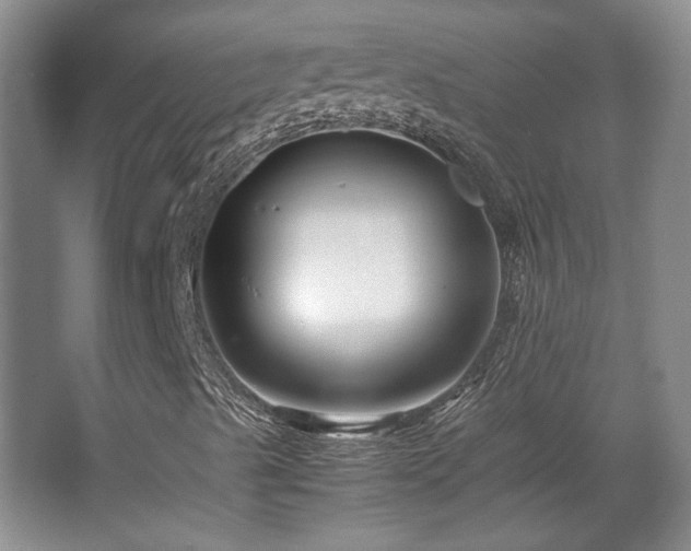 X0000063441489200601231312