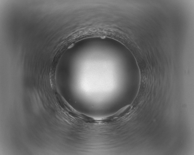 X0000063441490200601231312