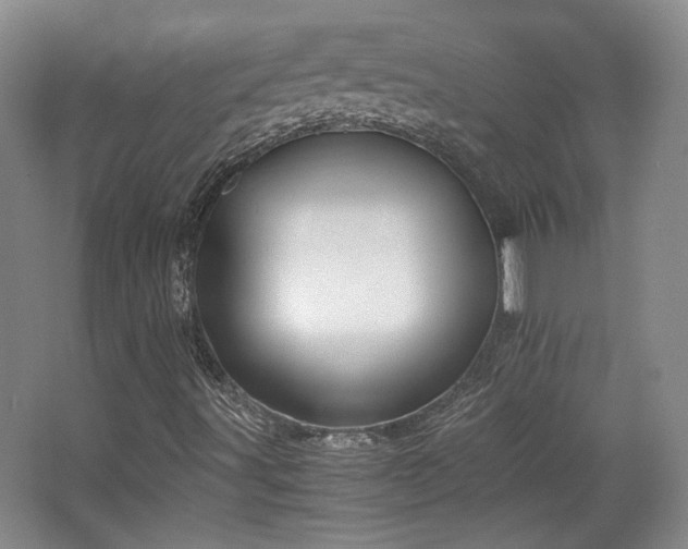 X0000063441491200601231312
