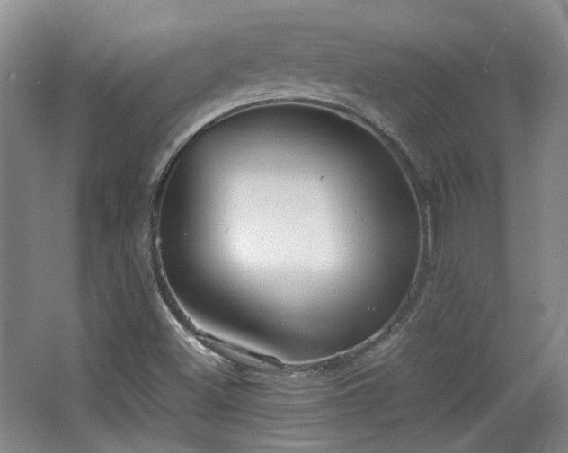 X0000063441500200601231312