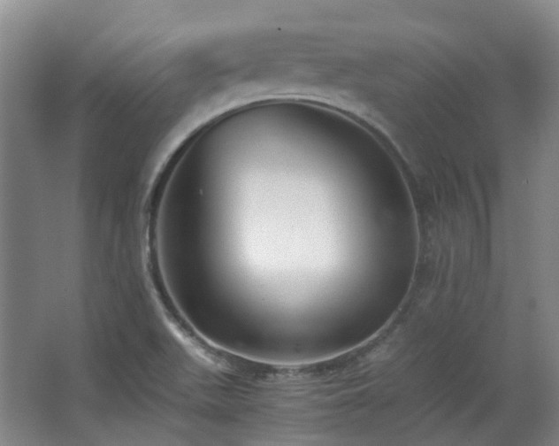 X0000063441511200601231312