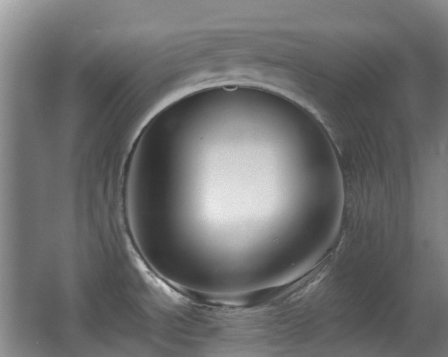 X0000063441534200601231312