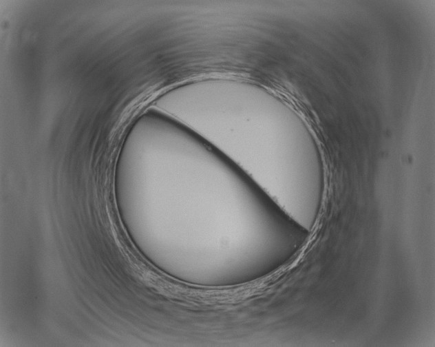 X0000063440001200601271526