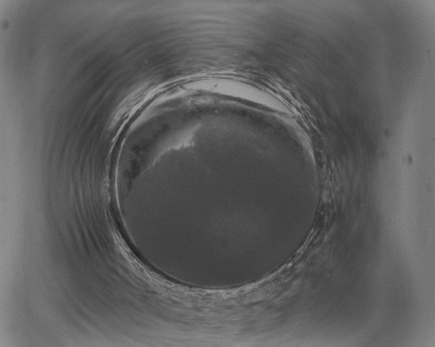 X0000063440002200601271526