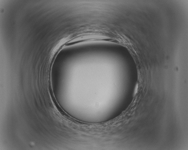 X0000063440003200601271526
