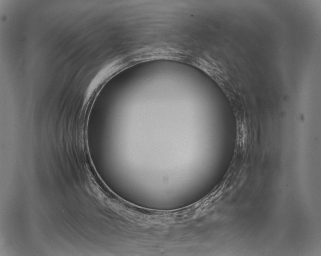 X0000063440004200601271525
