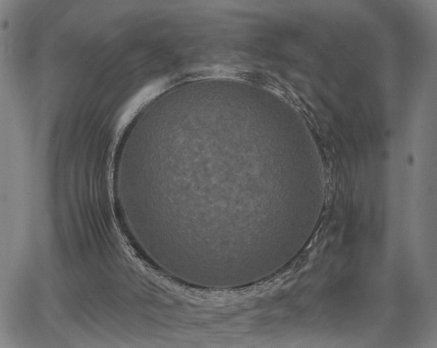 X0000063440006200601271525