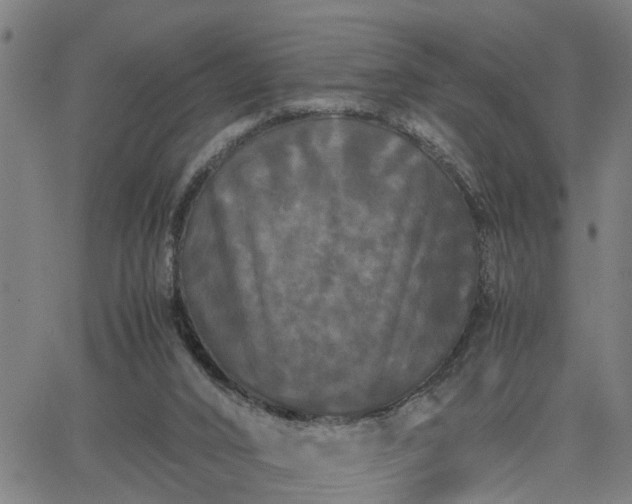 X0000063440016200601271525