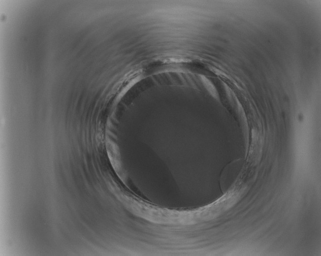 X0000063440048200601271525