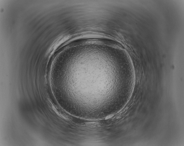 X0000063440050200601271524