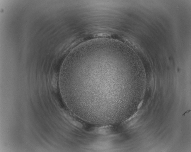 X0000063440078200601271524