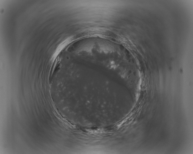 X0000063440099200601271524