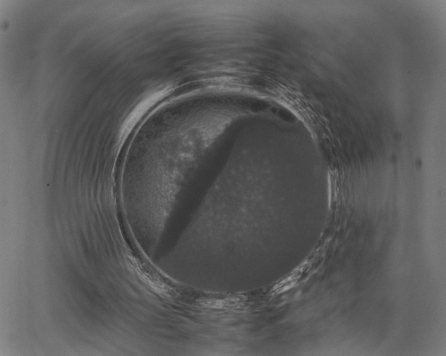 X0000063440147200601271522