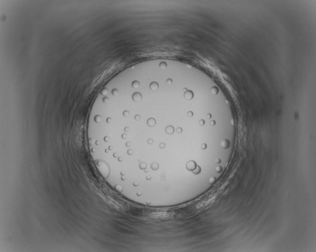 X0000063440153200601271523