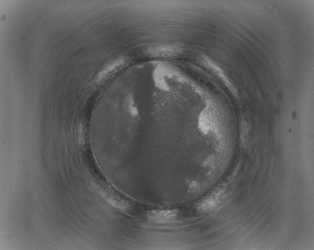 X0000063440161200601271523