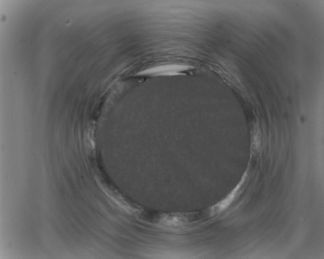 X0000063440174200601271523