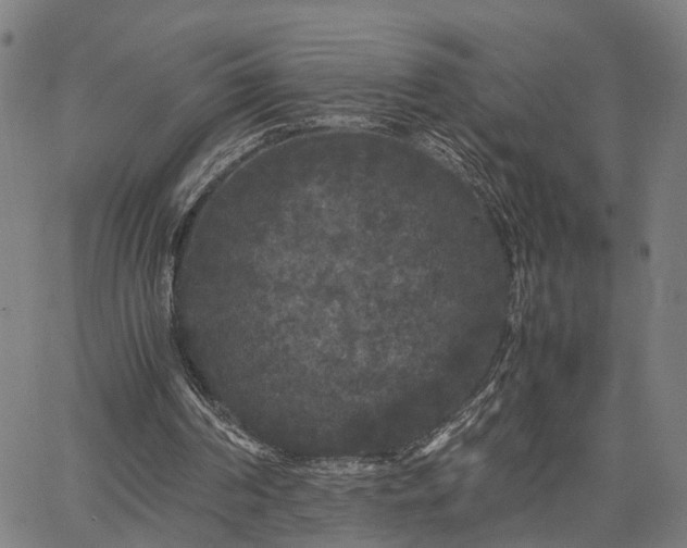 X0000063440194200601271522