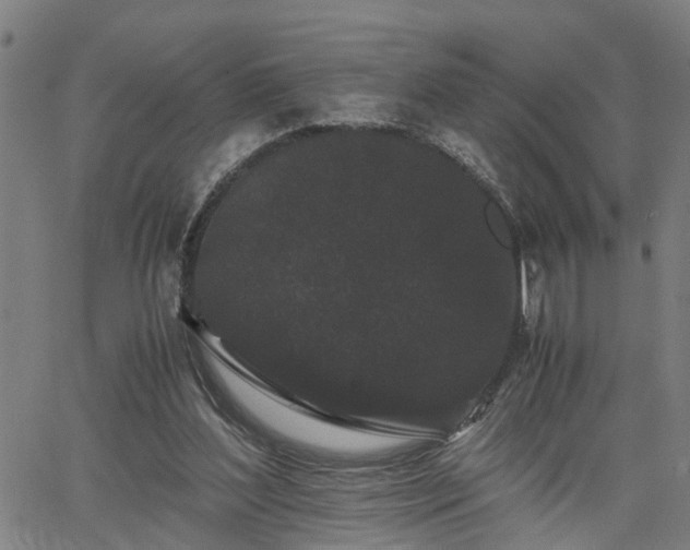 X0000063440204200601271522