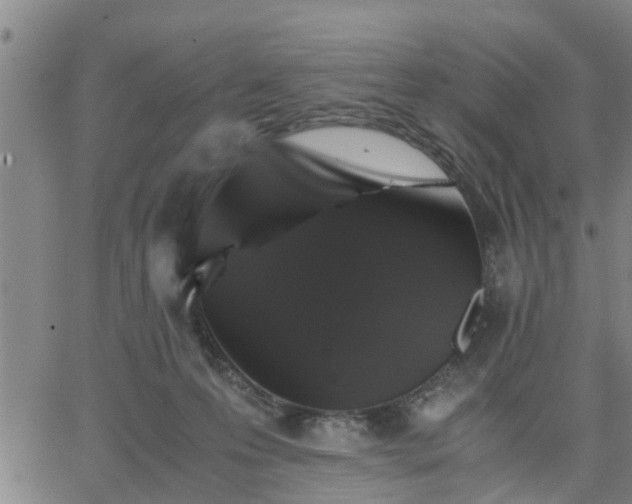 X0000063440223200601271522