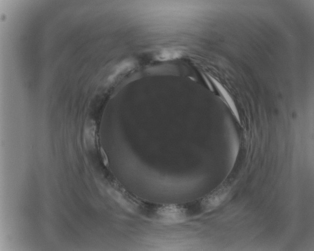 X0000063440231200601271522