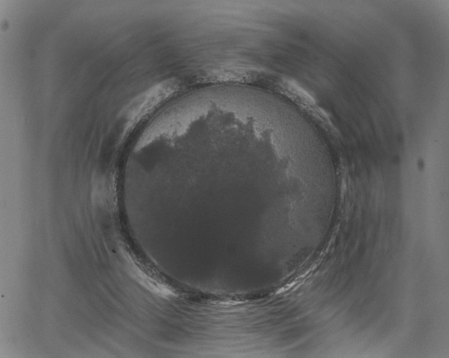 X0000063440250200601271521