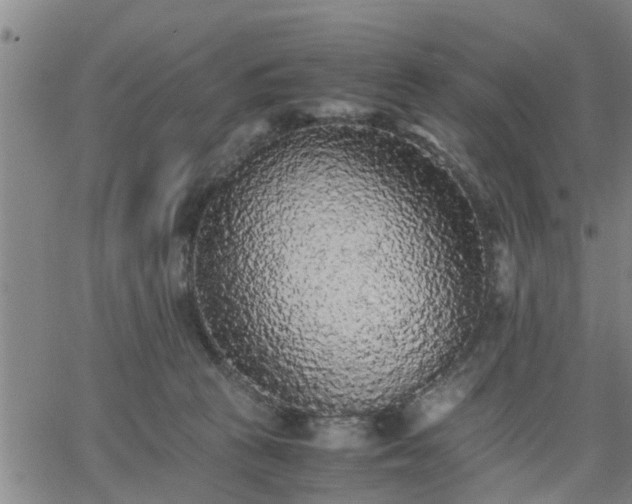 X0000063440273200601271521