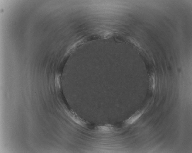 X0000063440286200601271522