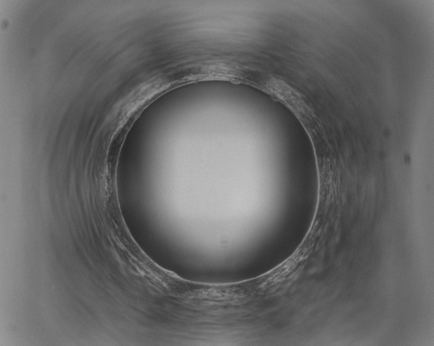 X0000063440338200601271519